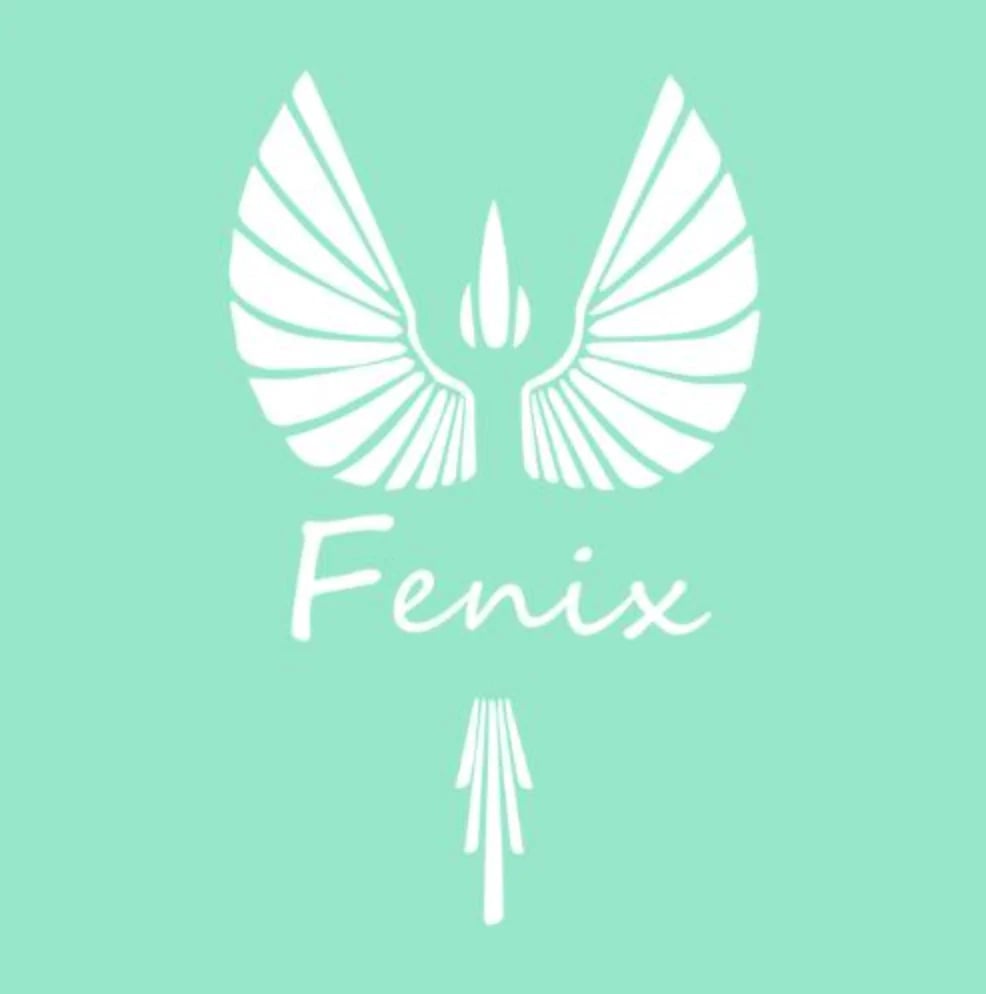 White phoenix logo with symmetrical wings and tail feathers on mint green background with Fenix text